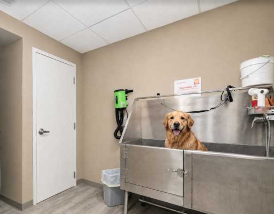 Falls Bridge Lofts · Unit 101 1/1